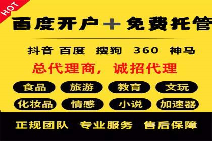 SEM托管公司案例分析：实战技巧全解析